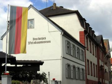 Deutsches Weinbaumuseum