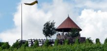 Spiesheimer Weinbergsturm