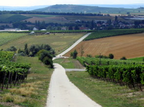 Blick auf Sprendlingen