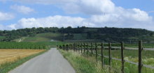 Wi&szlig;berg