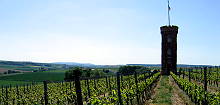 Heiligblut-Turm