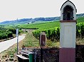 Zum Weinlehrpfad Rüdesheim