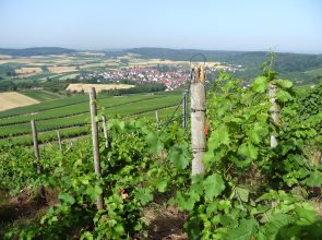 Blick auf Großbottwar-Winzerhausen