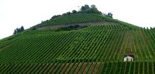 Scheuerberg