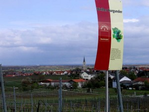 wlp_bodenheim17_gr