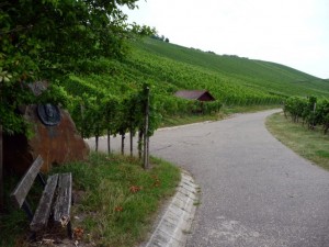 wlp_neckarsulm09_gr