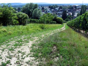 Hattenheimer Brunnenweg